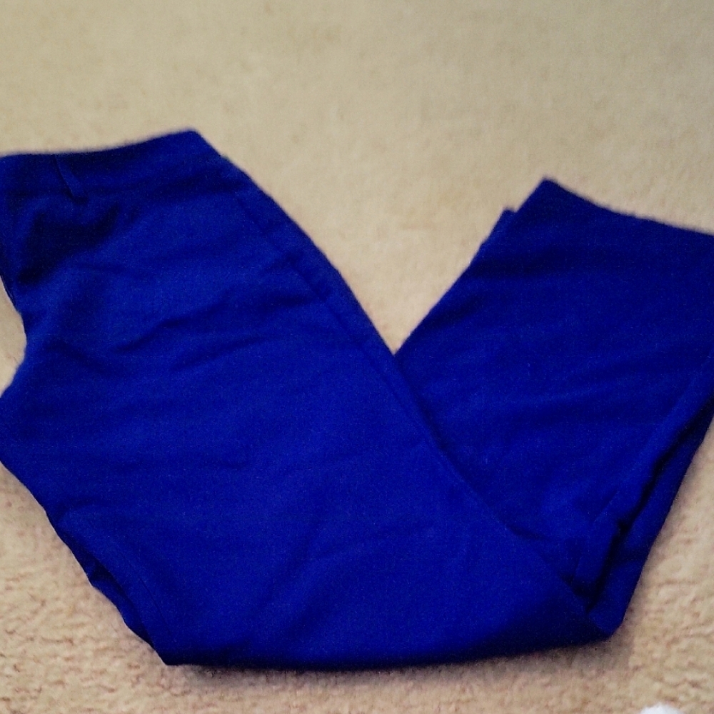 Express Editor Vibrant Blue Pants